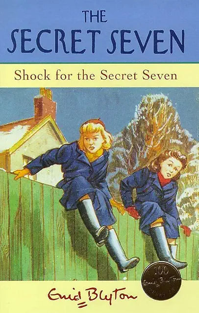 Shock for the Secret Seven