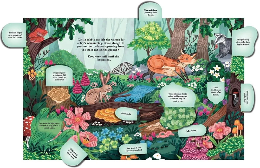 Hide and Find in the Forest