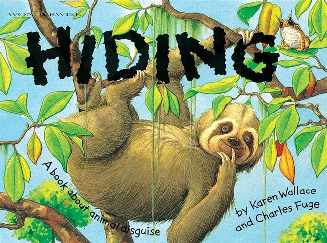 Wonderwise. Hiding