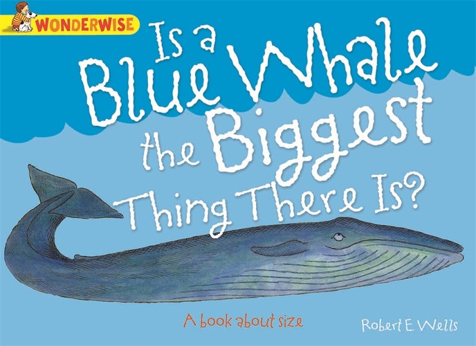 Wonderwise Is A Blue Whale The Biggest Thing There Is?