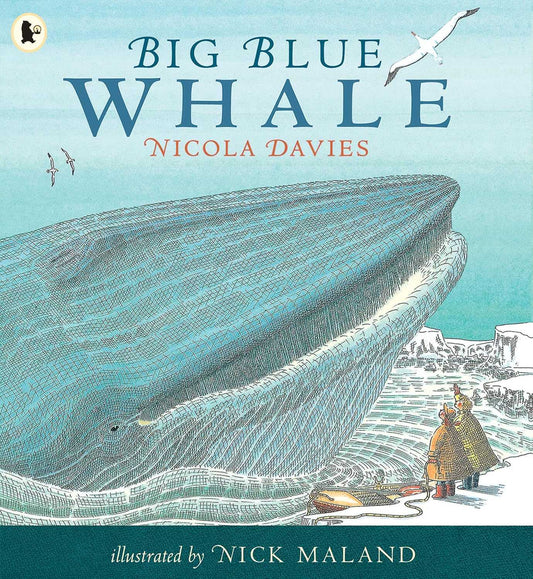 Nature Storybooks Big blue whale