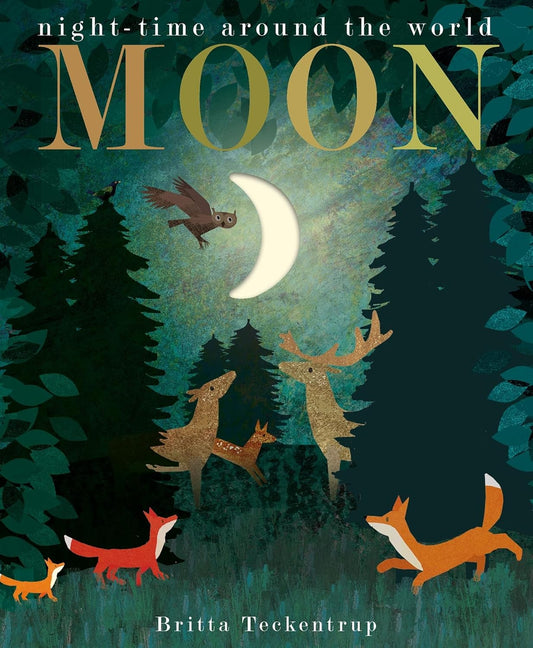 Night Time around the World Moon
