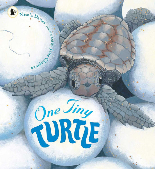 Nature Storybooks One tiny turtle