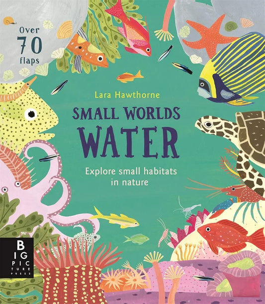 Small Worlds Water