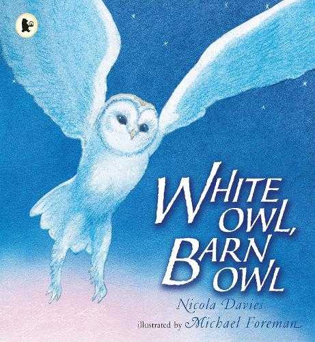 Nature Storybooks White owl, barn owl